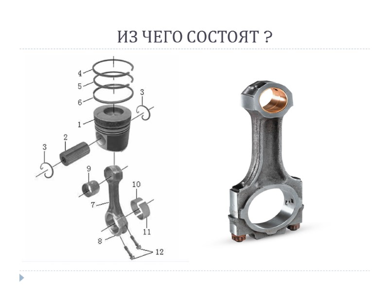 ИЗ ЧЕГО СОСТОЯТ ?